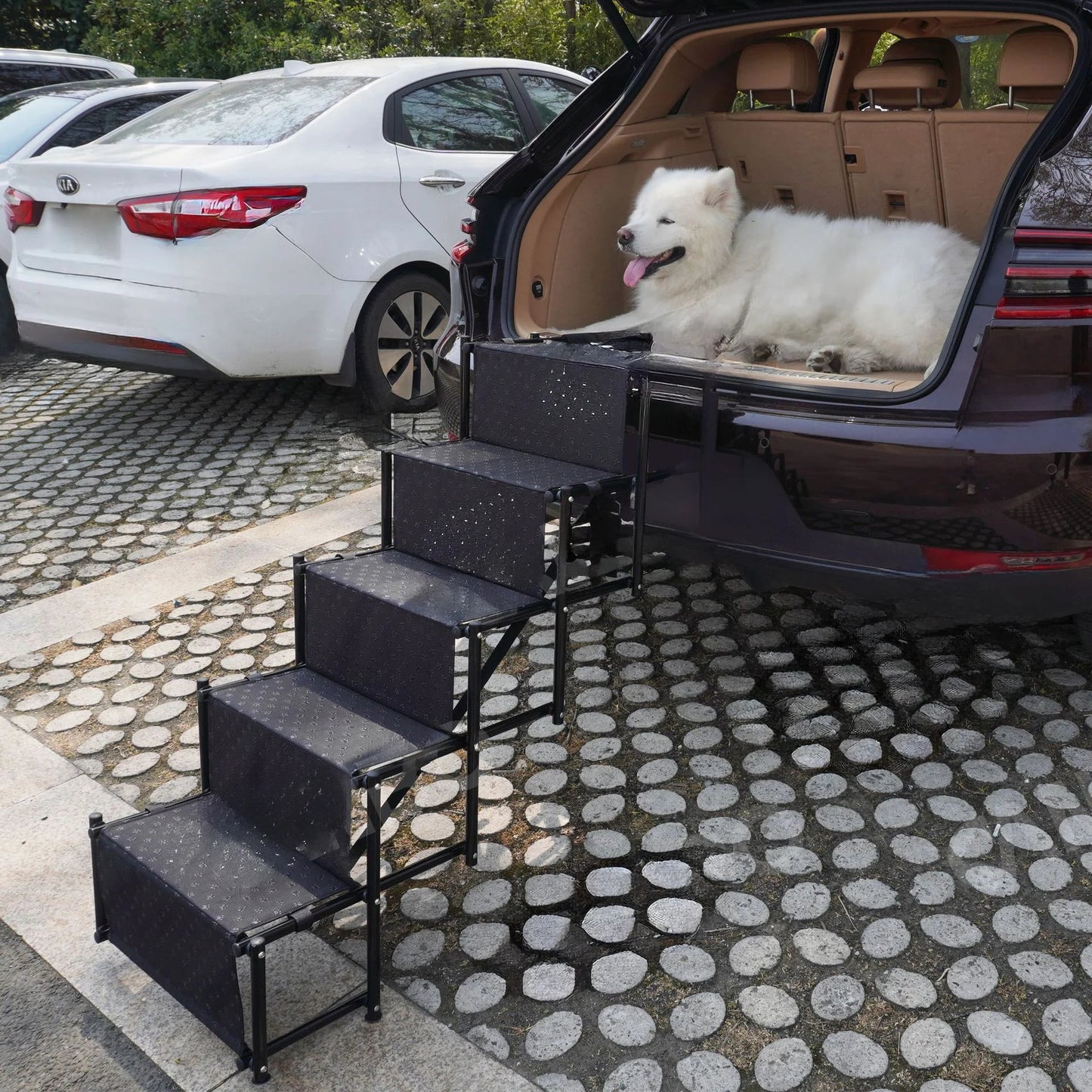 Upgraded Dog Car Ramp: Improved Stability